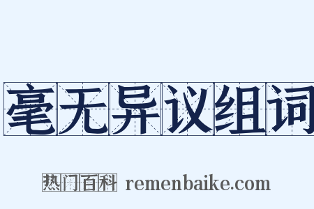 毫无异议组词是什么意思的图片